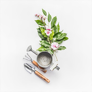 Gardening Tools Market To Witness Shortterm Revenue Loss During Covid19 Outbreak Positive Outlook For Long Term Says Pmr Gardening Tools Market To Witness Shortterm Revenue Loss During Covid19 Outbreak Positive Outlook For Long Term Says Pmr