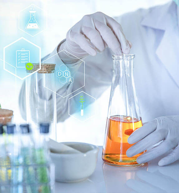 Magnesium Silico Fluoride Market Magnesium Silico Fluoride Market