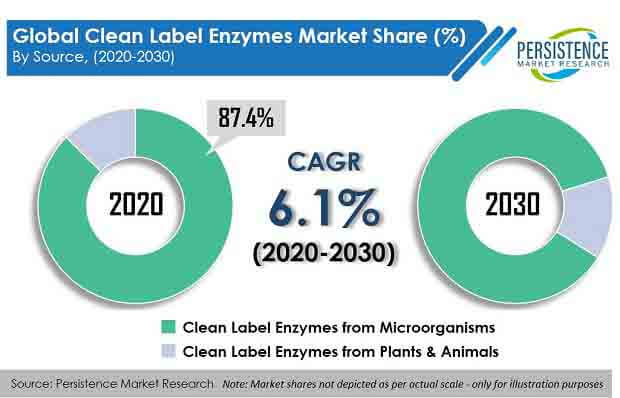 clean label enzymes market