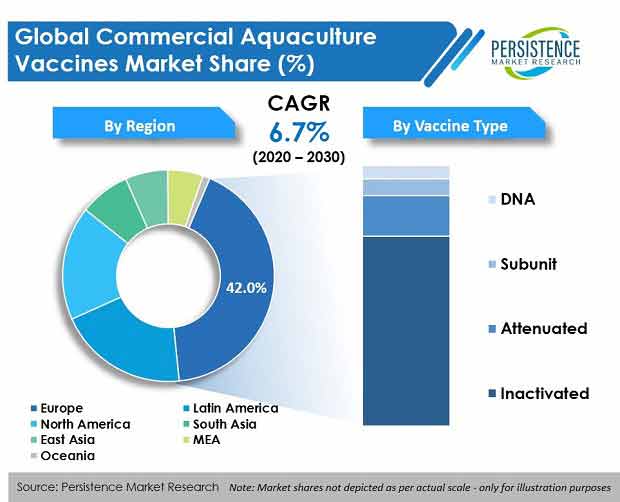 Care Management Solutions Market