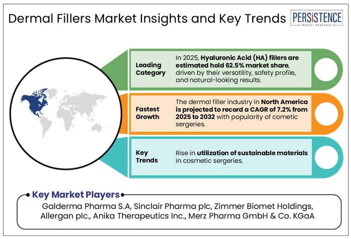 dermal fillers market insights and key trends