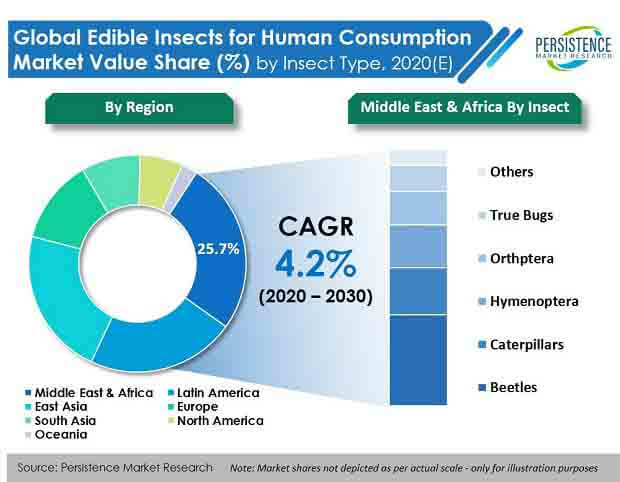 edible insects for human consumption market