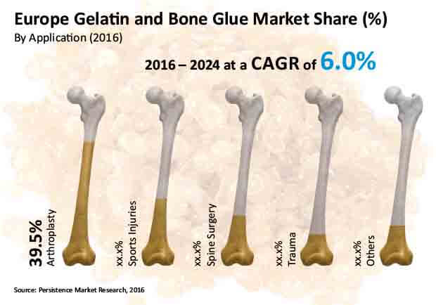 Surgical Glue Market