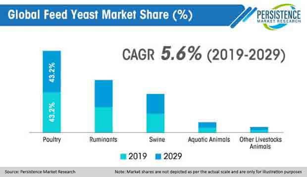 global feed yeast market