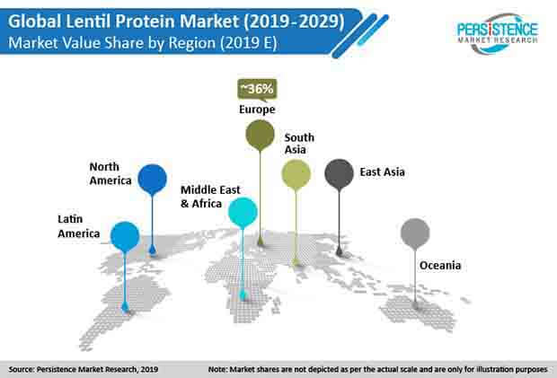 lentil protein market