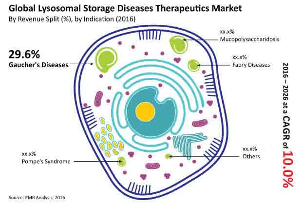 lysosomal storage diseases market