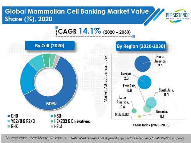 mammalian-cell-banking-market.jpg (620×463)