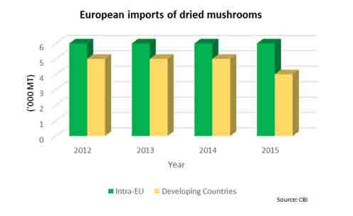 medicinal mushrooms market 0