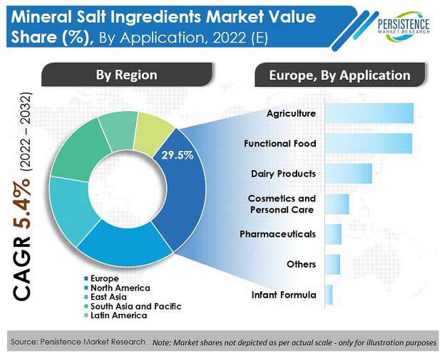 mineral-salt-ingredients-market