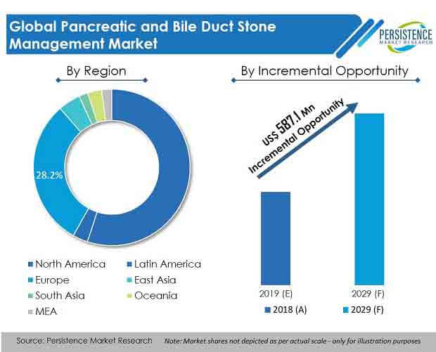 pancreatic and bile duct stone management market