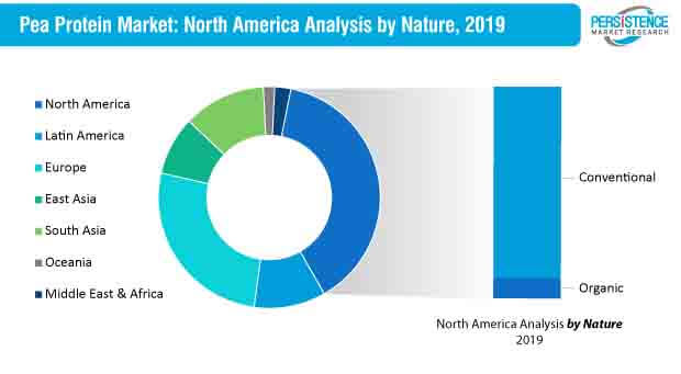 
pea protein market north america 