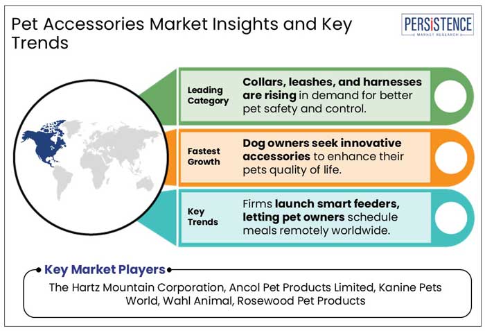 pet accessories market insights and key trends