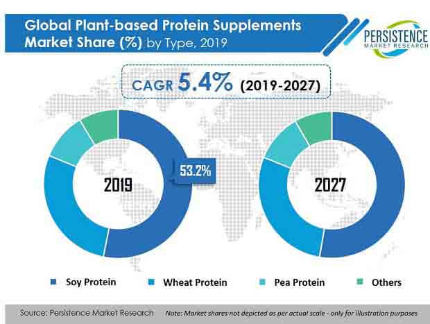 plant based protein supplements market type