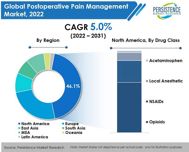postoperative pain management market
