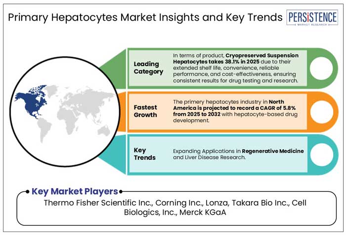 primary hepatocytes market insights and key trends