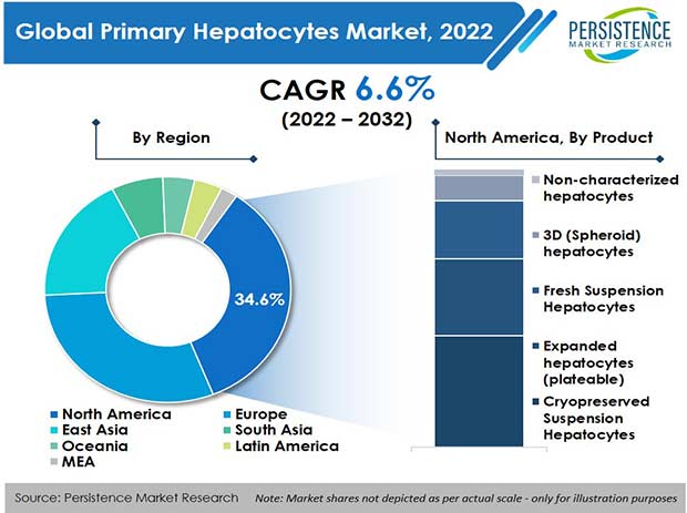 primary-hepatocytes-market