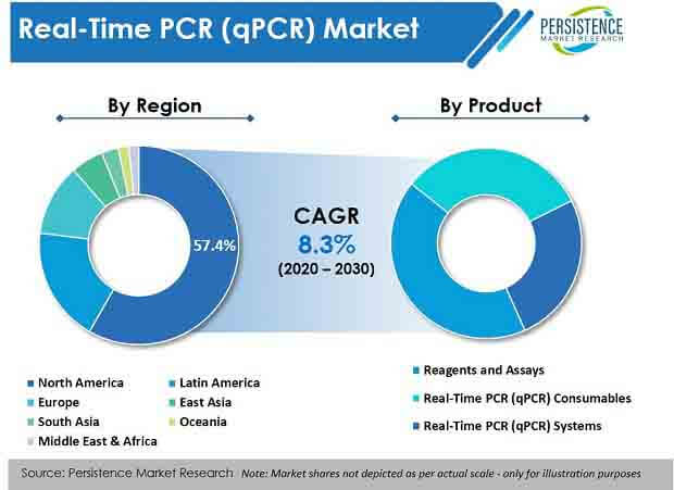 real time pcr qpcr market product