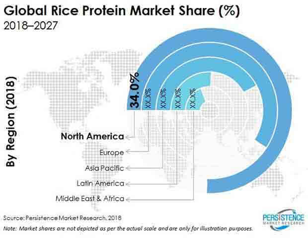 mercado de proteína de arroz