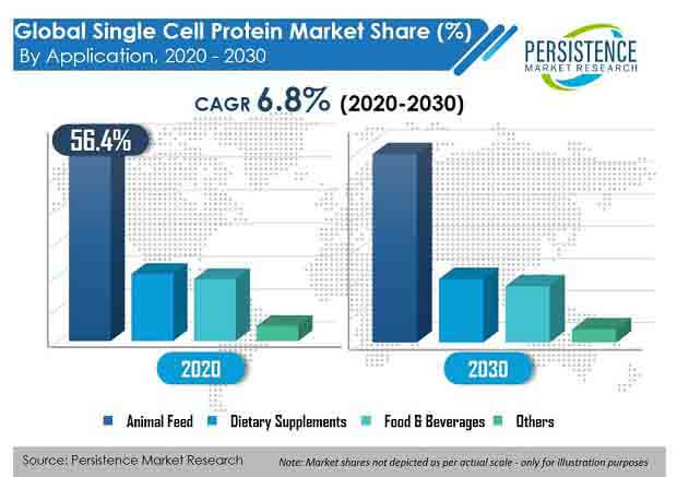 single cell protein market