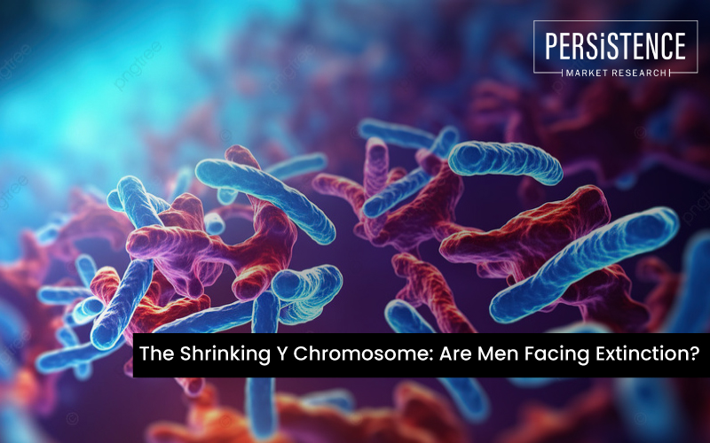 The Shrinking Y Chromosome: Are Men Facing Extinction?