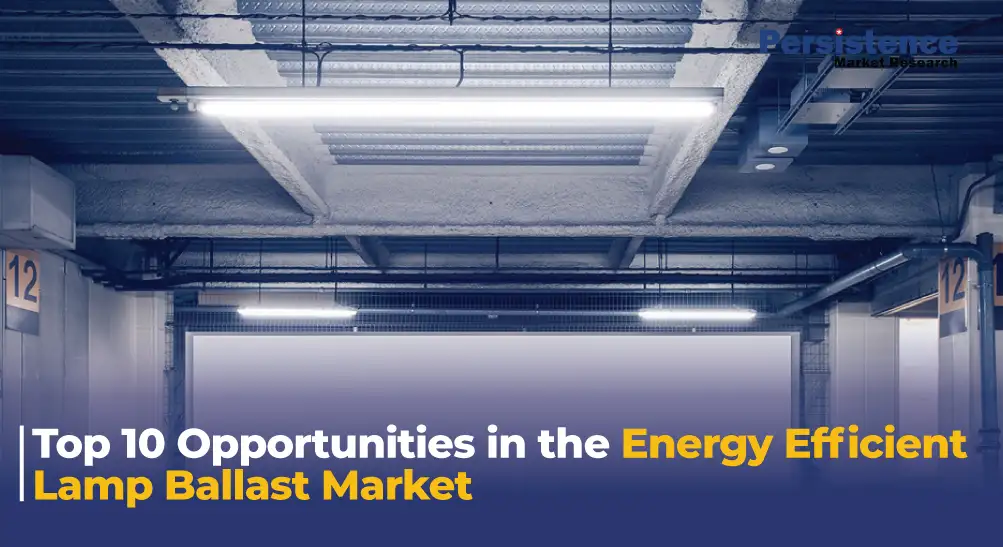 Energy Efficient Lamp Ballast Market: Top Opportunities and Future Trends