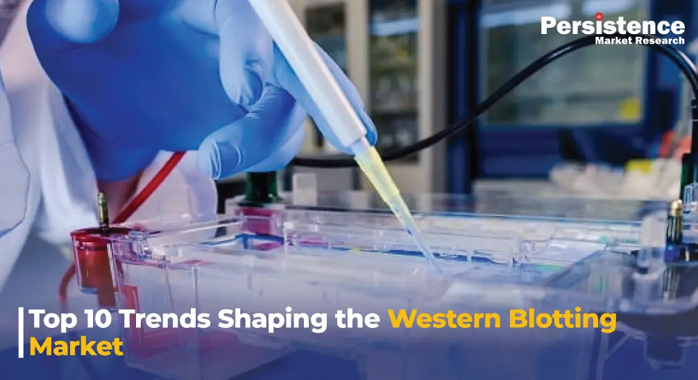 Western Blotting Market: Top Trends Shaping Future Growth