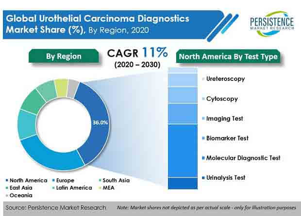 urothelial carcinoma diagnostics market