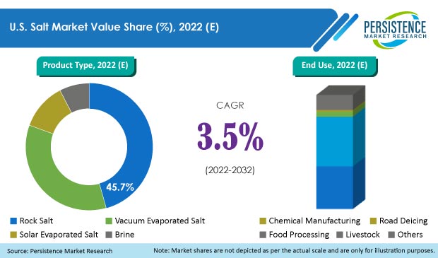 us-salt-market