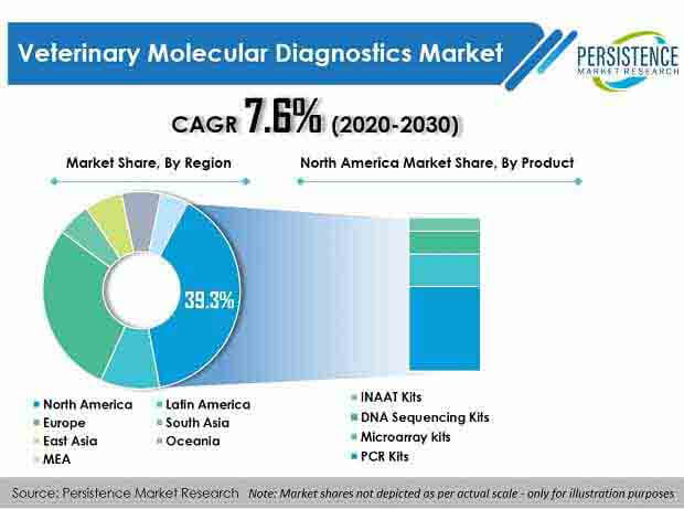 Care Management Solutions Market