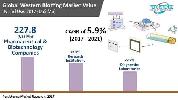 western blotting market